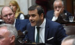 “Misiones pierde hasta tres RIGI por año con la desregulación”: duro discurso de Herrera Ahuad por la yerba mate