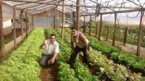 Preocupación por el desmantelamiento del INTA en Misiones: más de 50 técnicos dejaron sus cargos