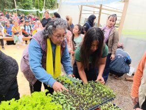 La Municipalidad de Eldorado entregó plantines a productores y adultos mayores